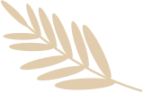aboutus shape