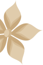 yin banner