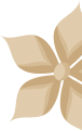 yang banner